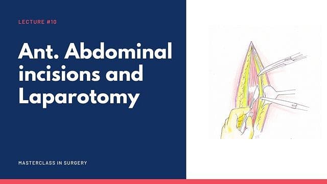 Anterior Abdomen Incisions & Laparotomy