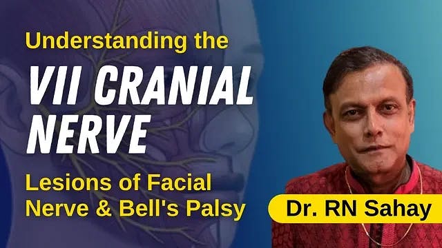 Understanding the VII Cranial Nerve : Lesions of Facial Nerve & Bell's Palsy